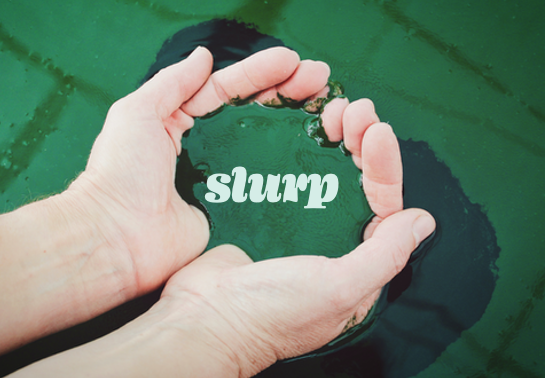 Pourquoi on ne peut plus se passer de la spiruline