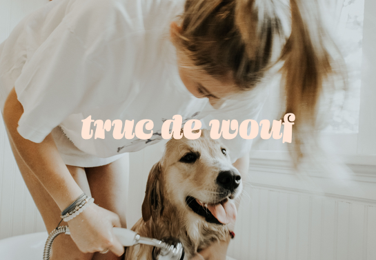 Notre chien peut avoir la même routine que nous Au poil
